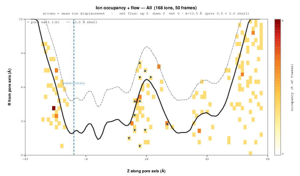 Ion passage plot: per-ion axial traces through the pore over the trajectory