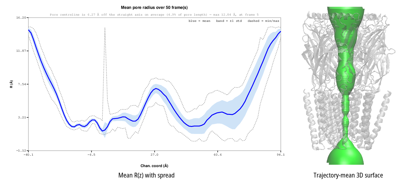 Mean radius profile with spread band, and the revolved trajectory-mean 3D surface