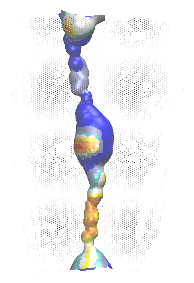 3D pore surface colored by residue hydrophobicity